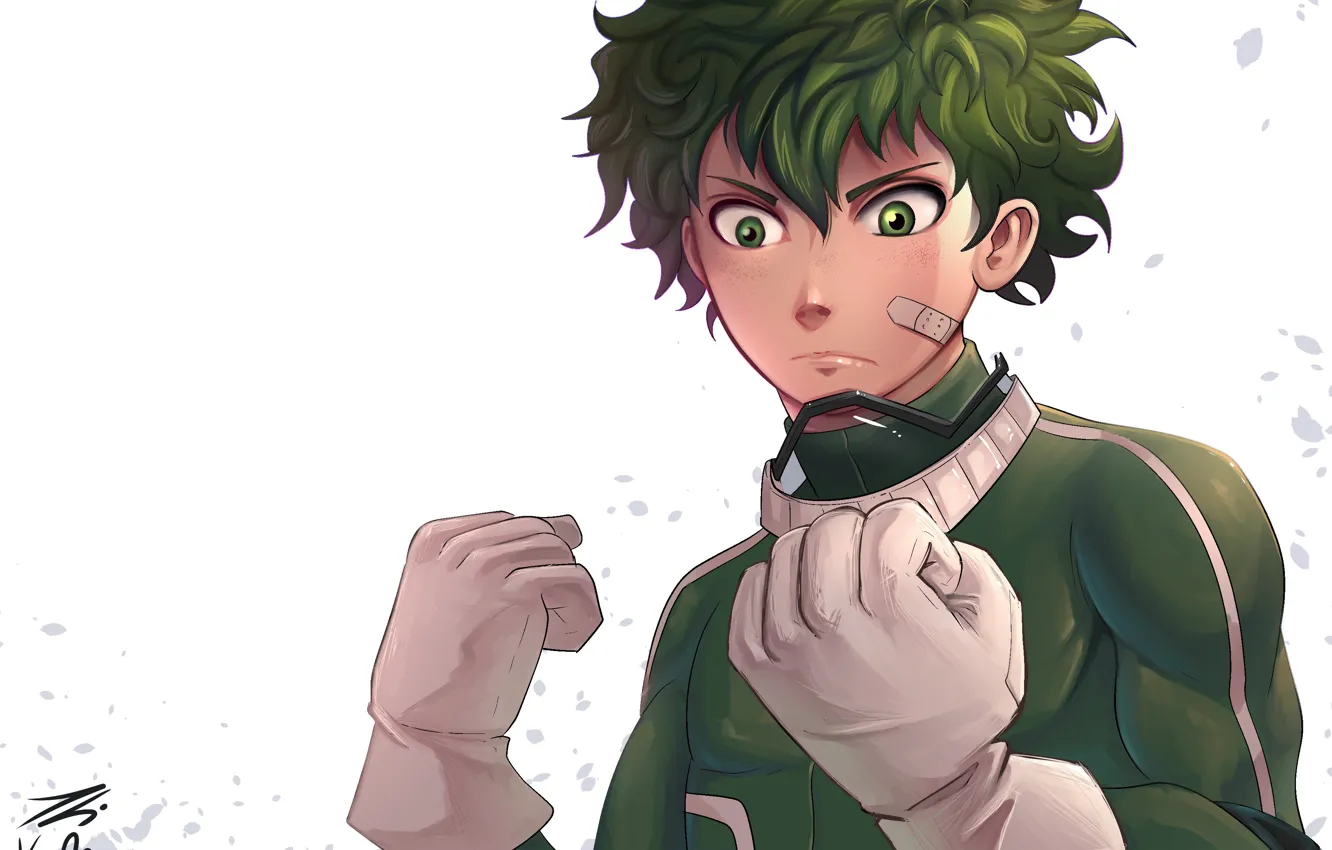 Photo wallpaper anime, art, guy, Boku no Hero Academy, My hero Academy, Midori Isuku