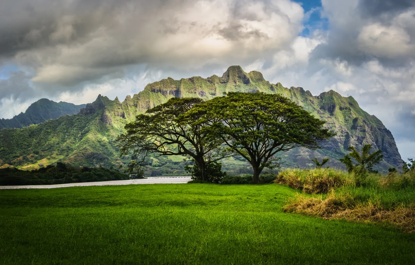 Photo wallpaper grass, clouds, landscape, mountains, nature, river, Hawaii, Hawaii
