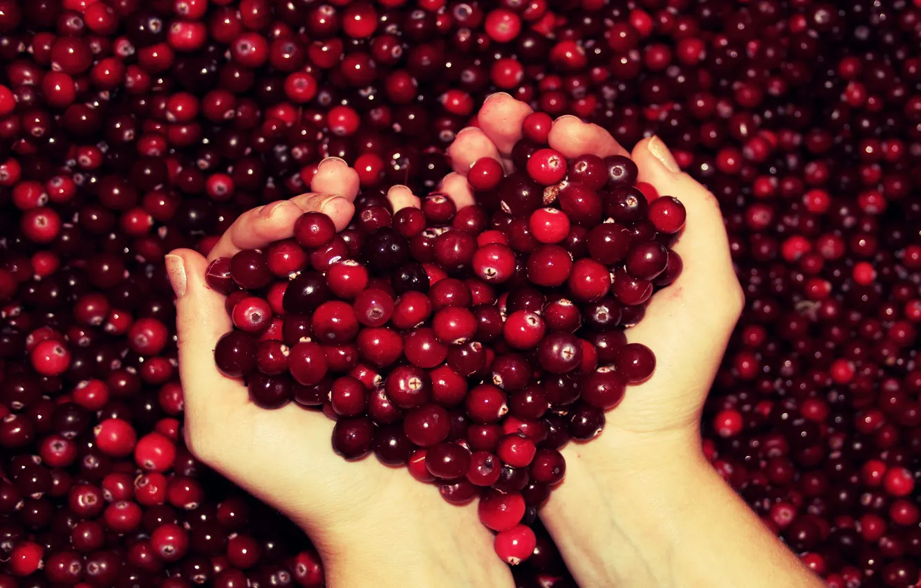 Photo wallpaper macro, red, berries, background, heart, hands, form, fingers