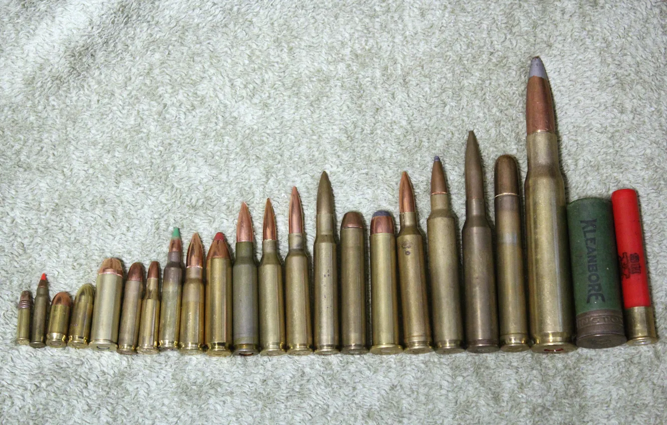 Photo wallpaper weapons, cartridges, caliber, comparison, foto Brandon Pringle, .218 bee, 5.56(.223), 50 bmg API