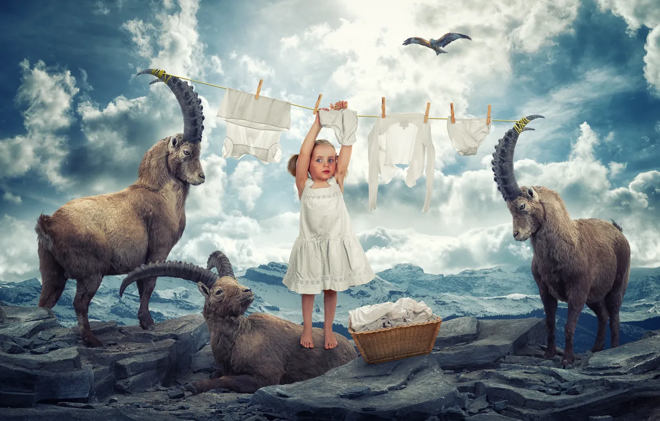 Photo wallpaper mountains, girl, eagle, in the sky, Horny, Laundry day, soars, mountain goats