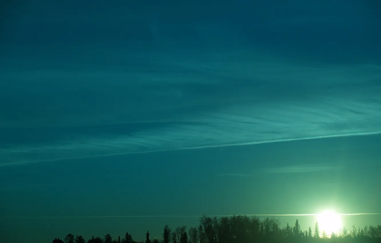 Photo wallpaper the sun, trees, green