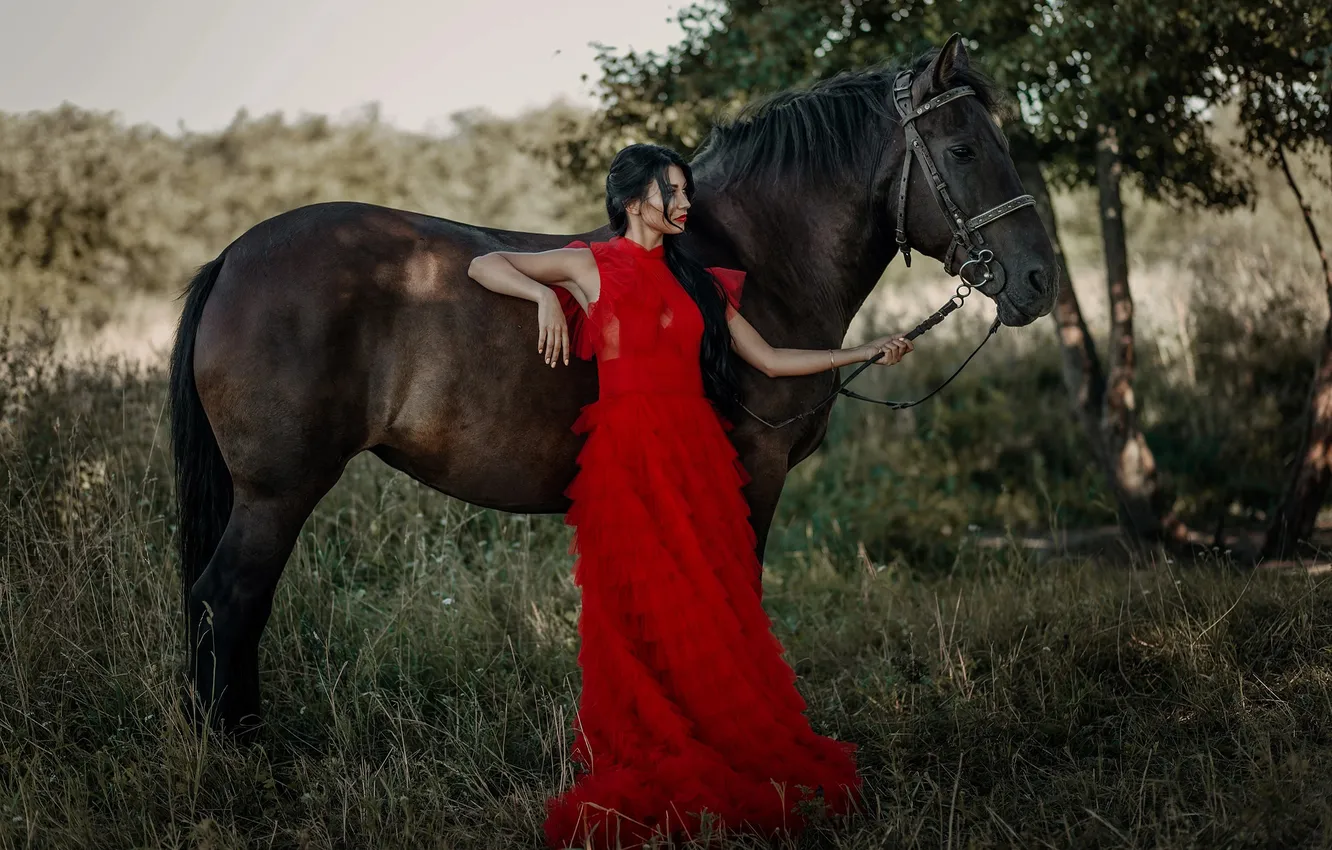 Photo wallpaper look, girl, pose, horse, horse, brunette, red dress, Mila Agafonova