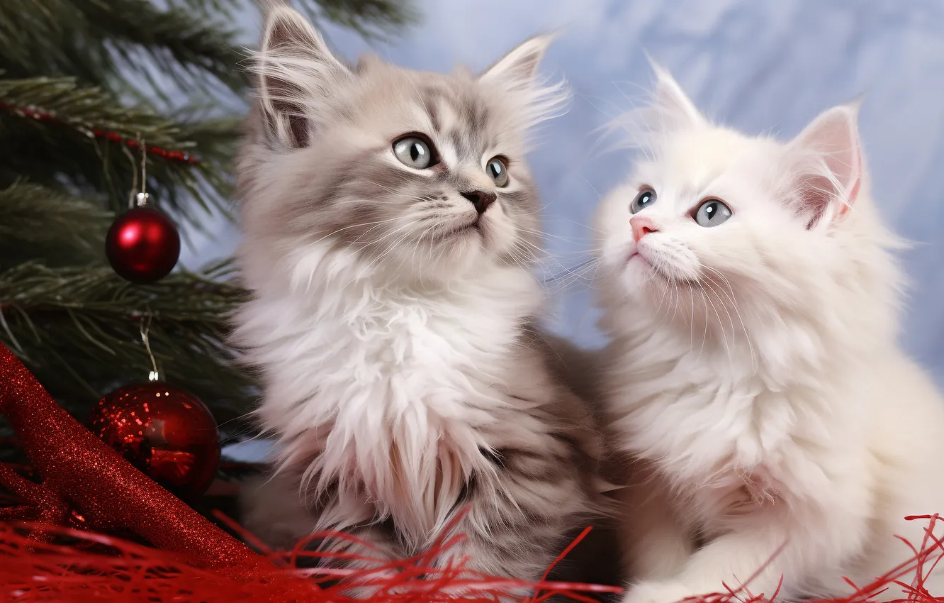 Photo wallpaper cat, white, look, balls, pose, grey, new year, Christmas