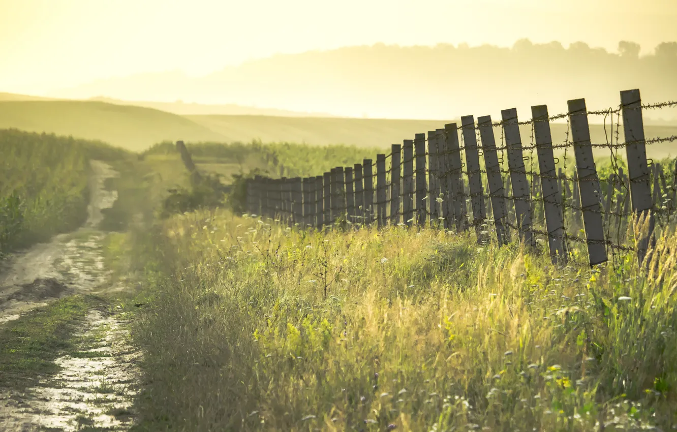 Photo wallpaper road, field, summer, grass, the fence