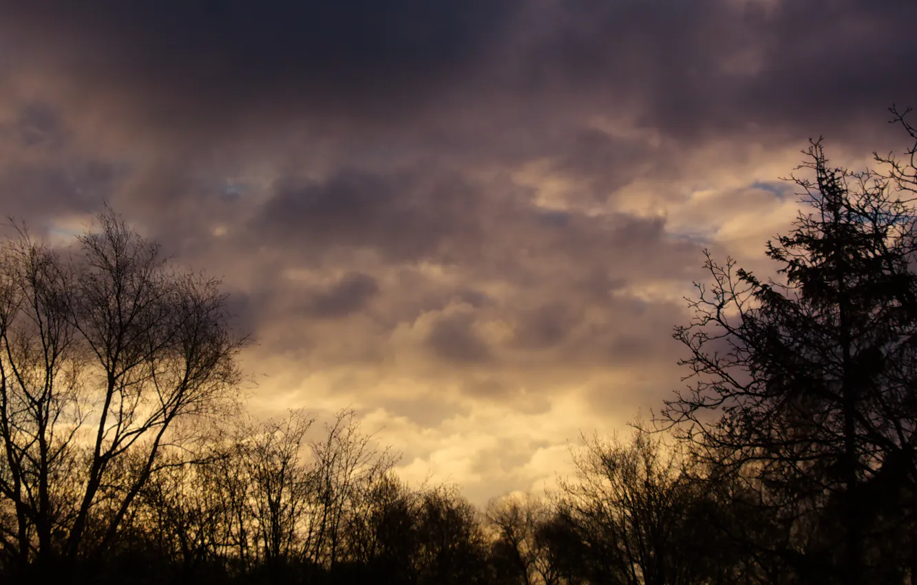 Photo wallpaper sky, cloud, morning