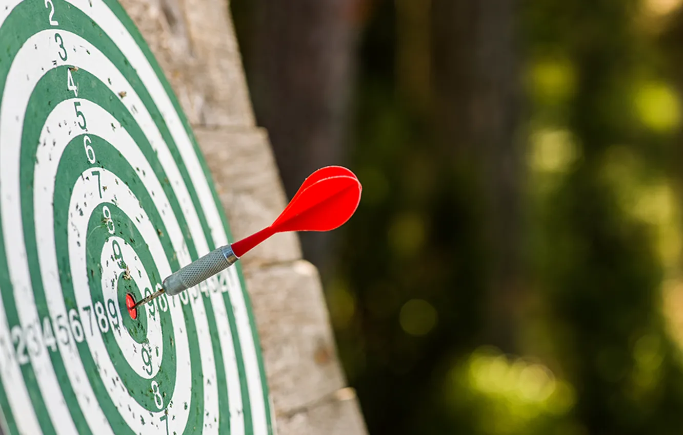 Photo wallpaper dart, target