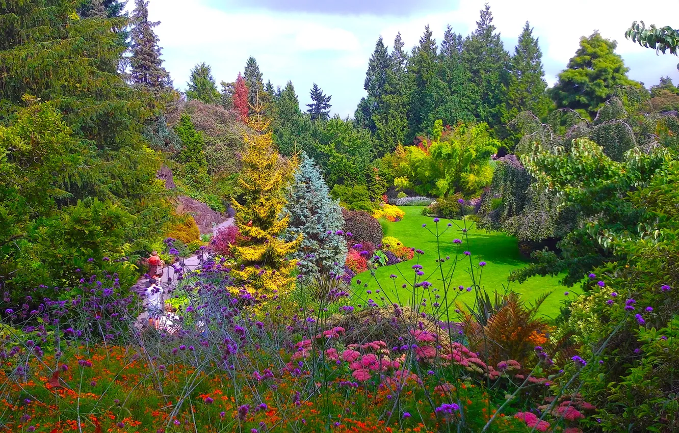 Photo wallpaper trees, flowers, Park, lawn, treatment, Canada, Vancouver, the bushes