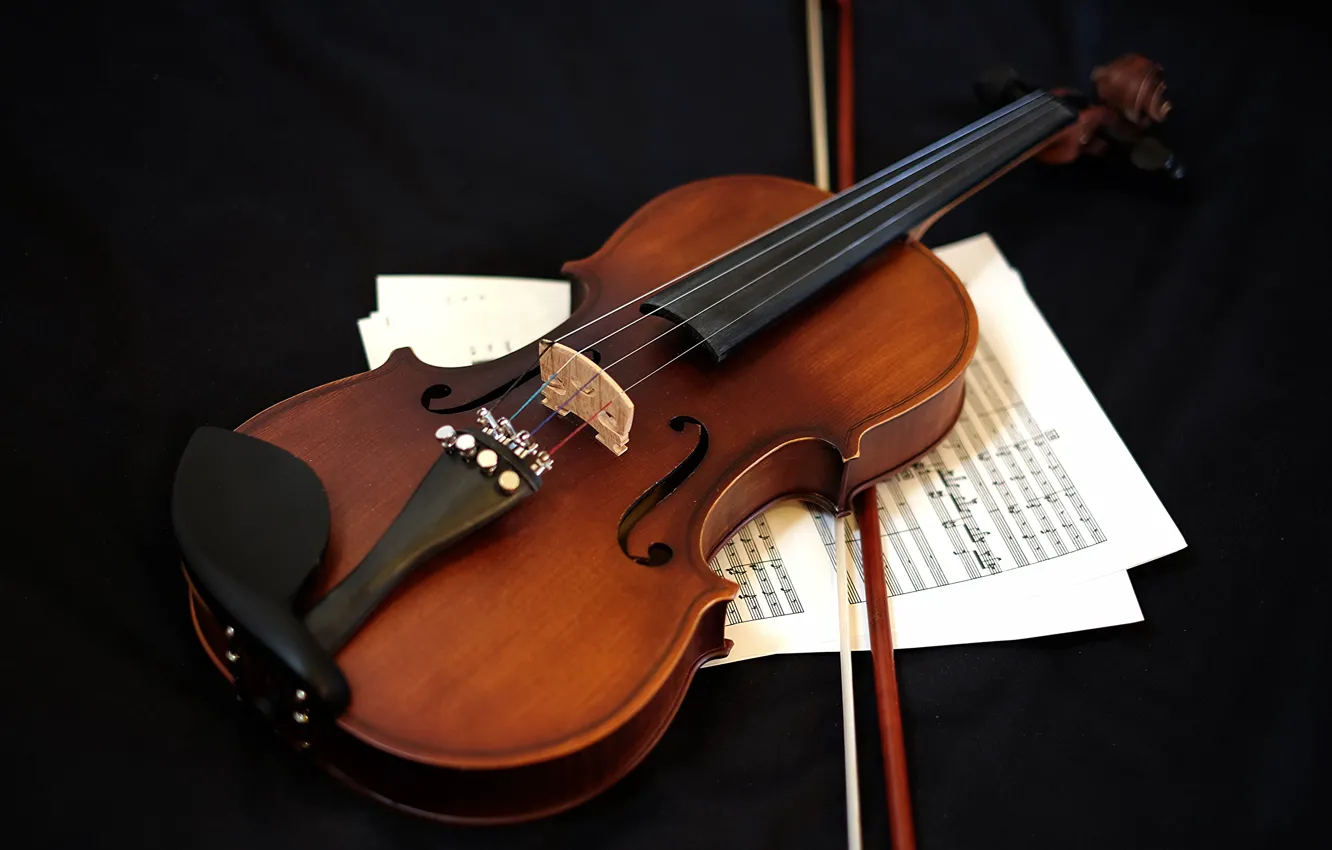 Photo wallpaper music, violin, musical instrument