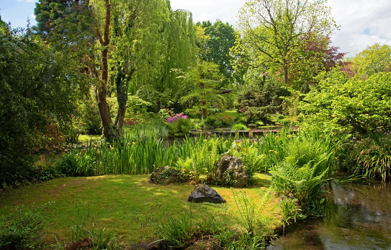 Photo wallpaper greens, summer, grass, the sun, trees, pond, Park, stones