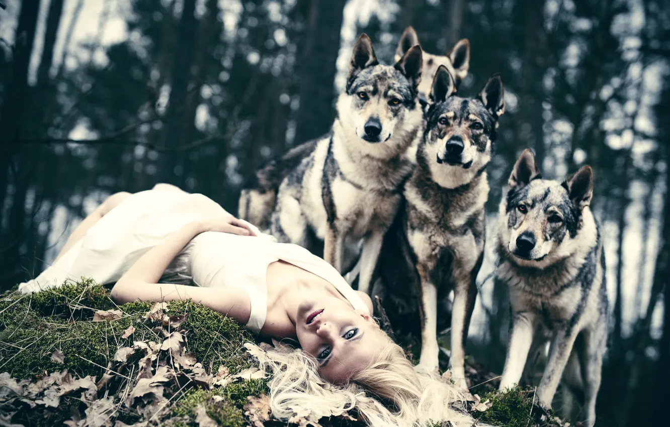 Photo wallpaper girl, dog, defender, The Defenders