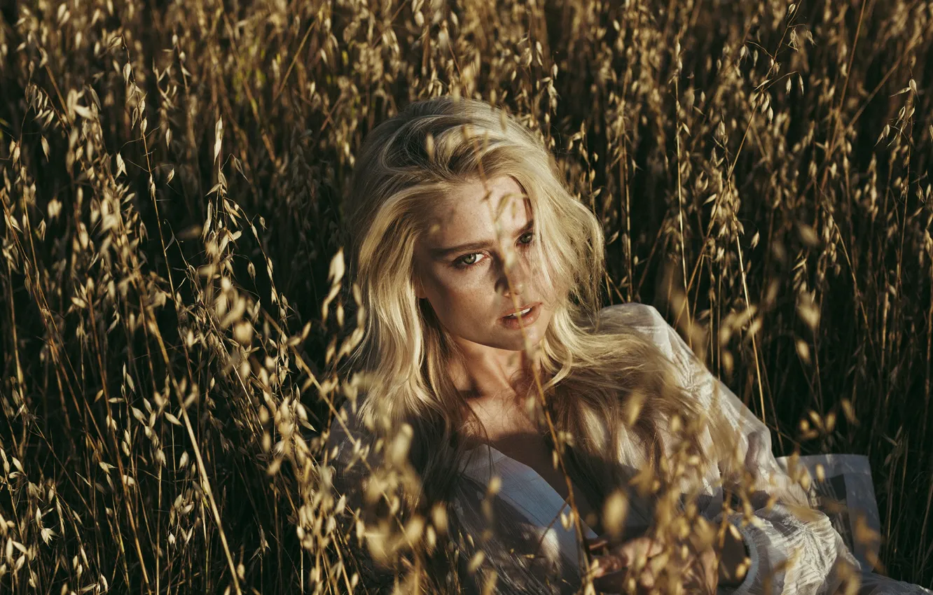 Photo wallpaper grass, look, girl, light, model, Allison Holton