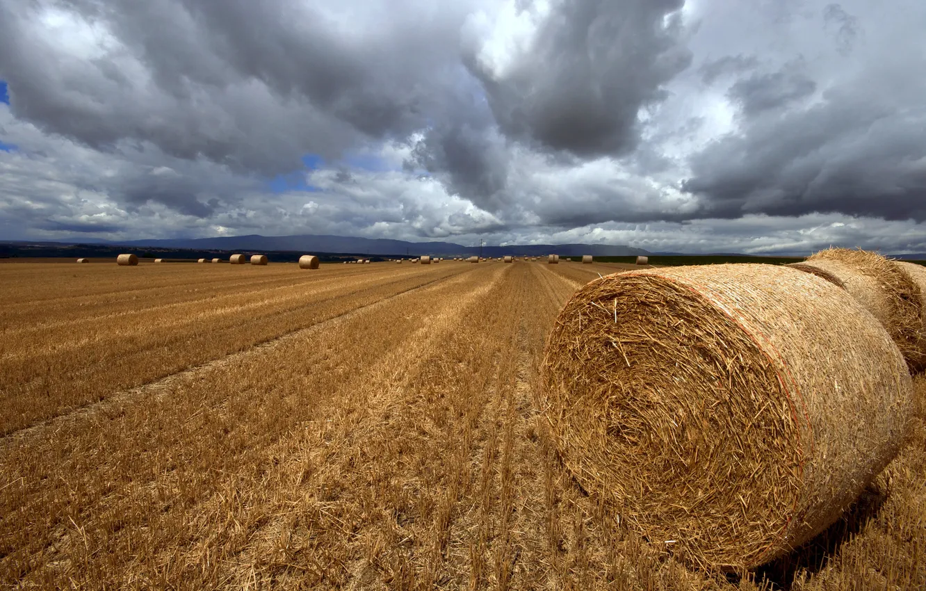 Photo wallpaper field, the sky, clouds, dal, the harvest, the end of summer, time, rolls