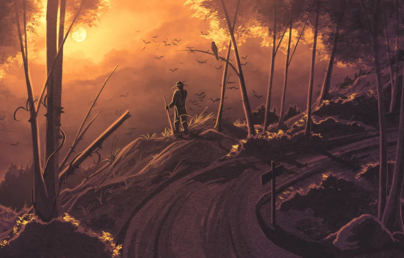 Photo wallpaper road, forest, the sun, sunset, bird, traveler