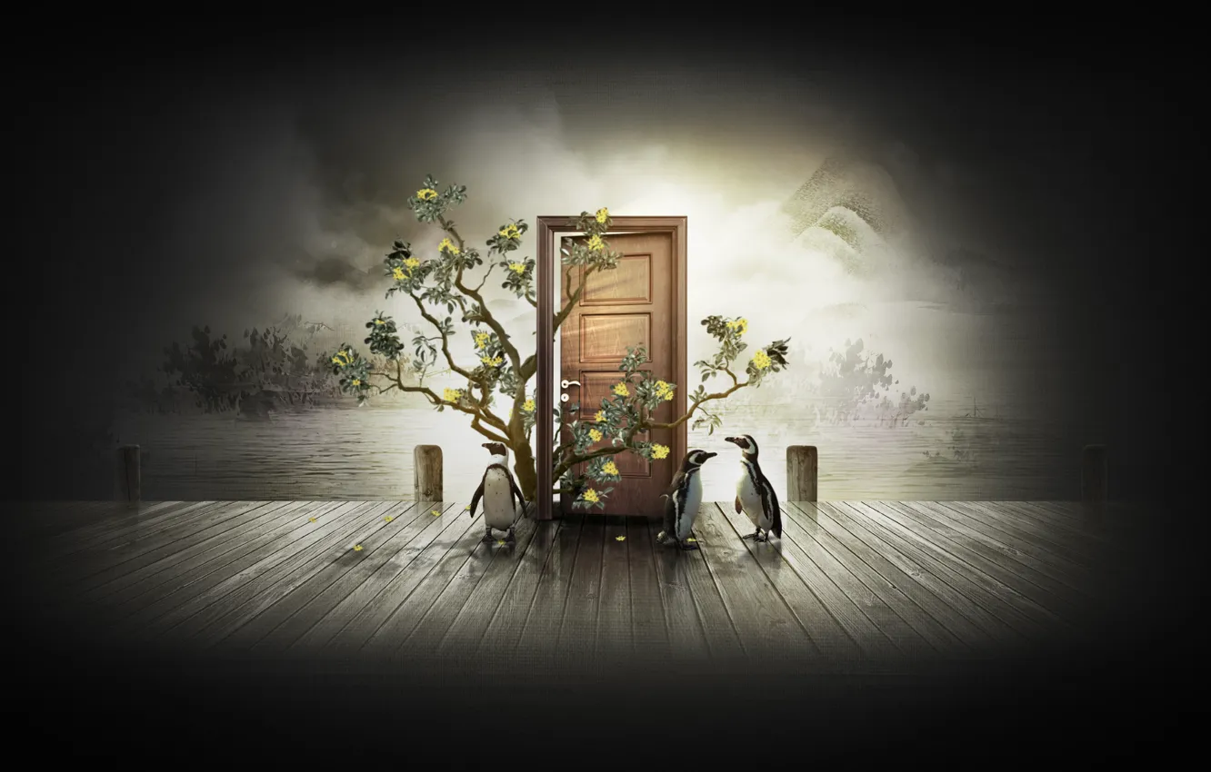 Photo wallpaper trees, penguins, the door, Dilshan Arukatti, immersive-garden