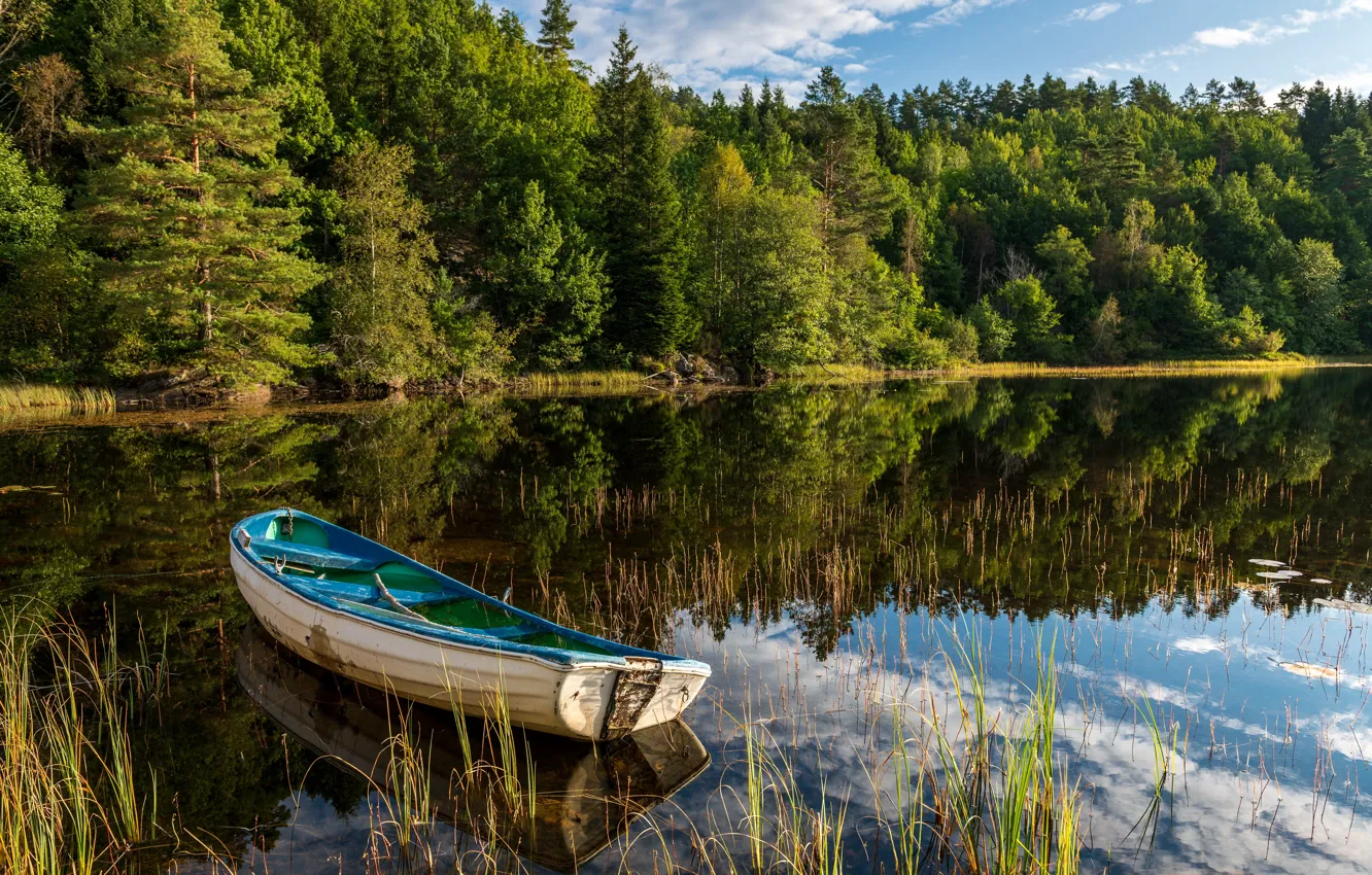 Photo wallpaper forest, lake, reflection, boat, Norway