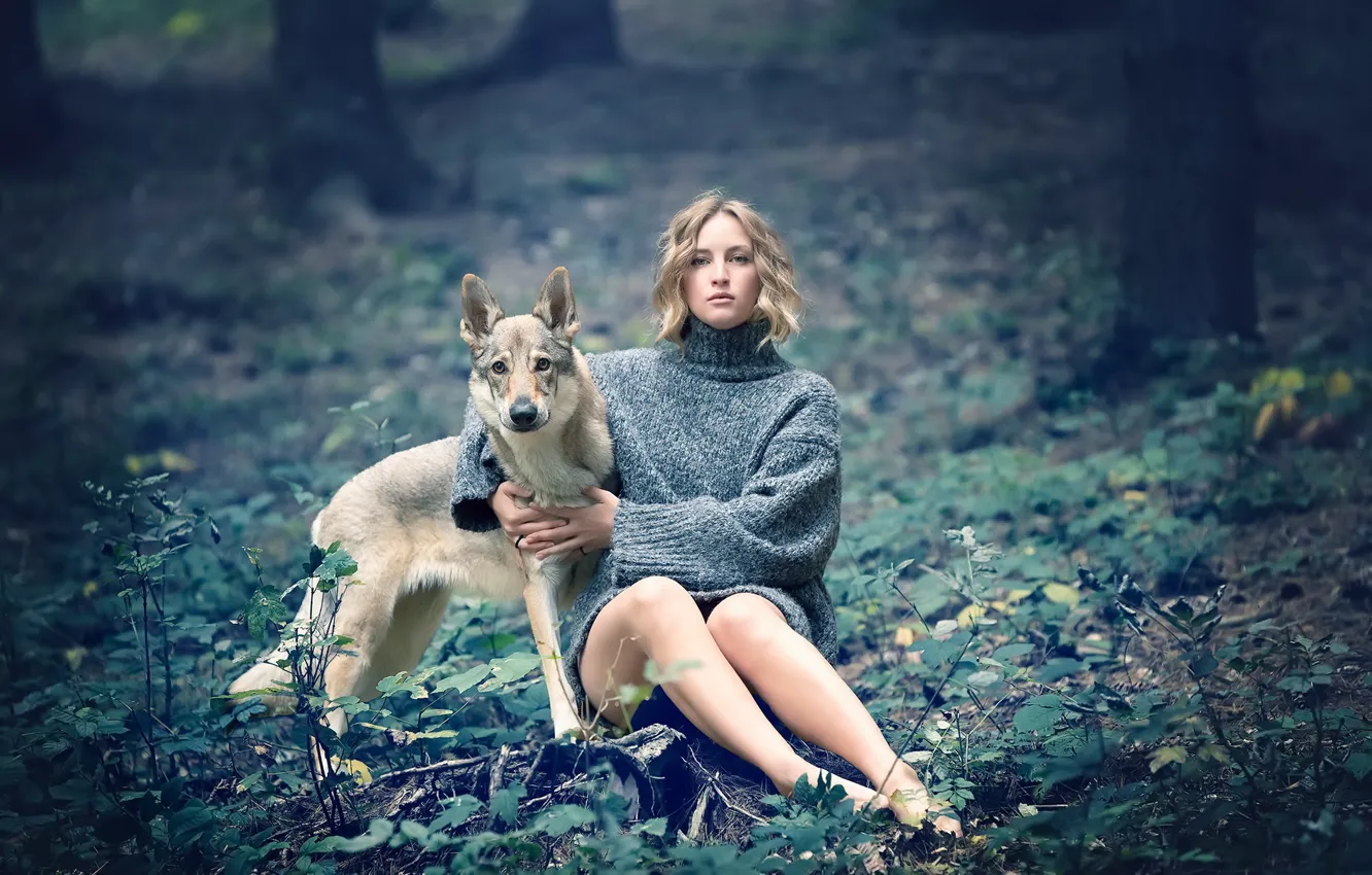 Photo wallpaper girl, nature, dog