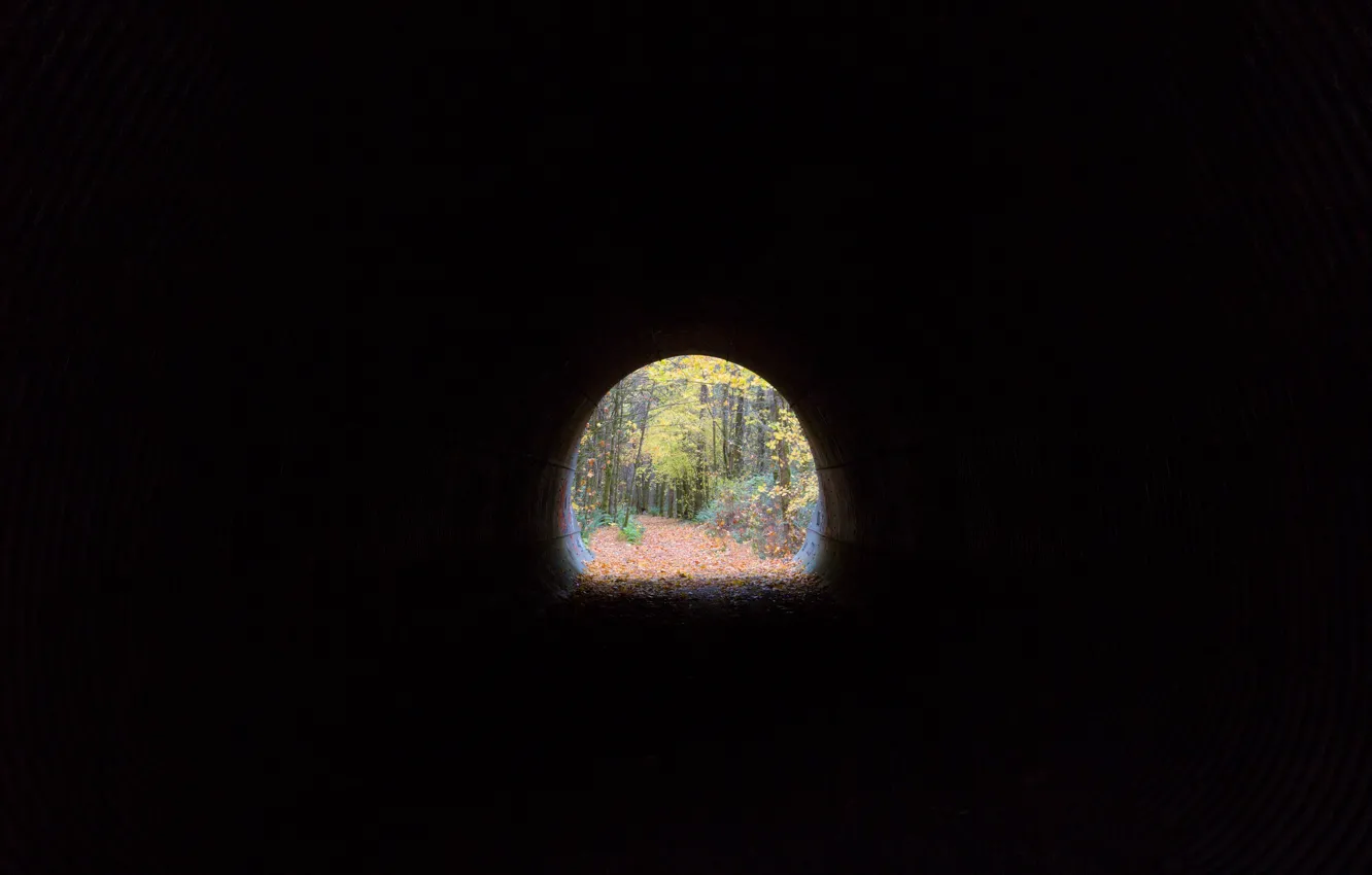 Photo wallpaper United States, Washington, Snoqualmie, Tunneling
