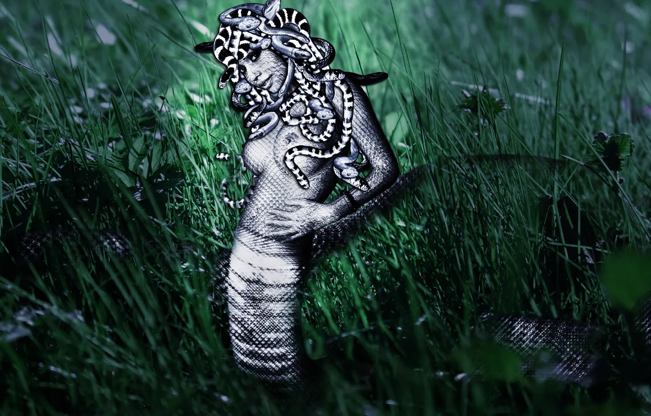 Photo wallpaper grass, girl, snake, Medusa