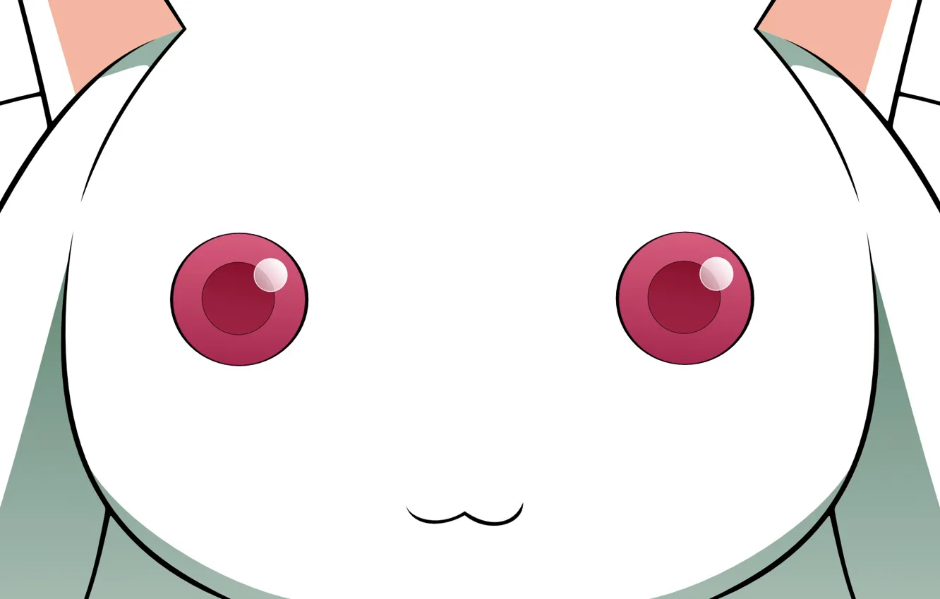 Photo wallpaper anime, mahou shoujo madoka magica, Girl Madoka, kyubey