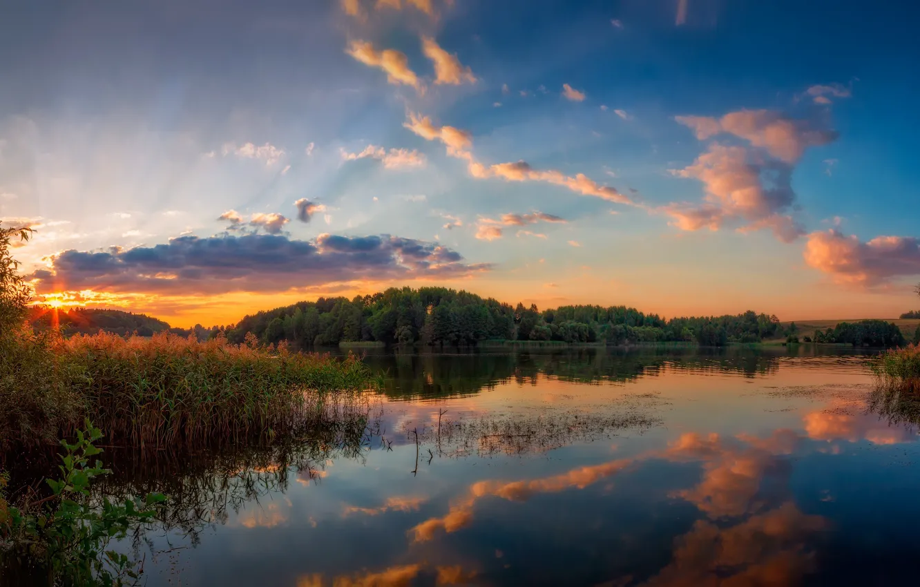 Photo wallpaper the sky, water, the sun, clouds, rays, reflection, reed, sky