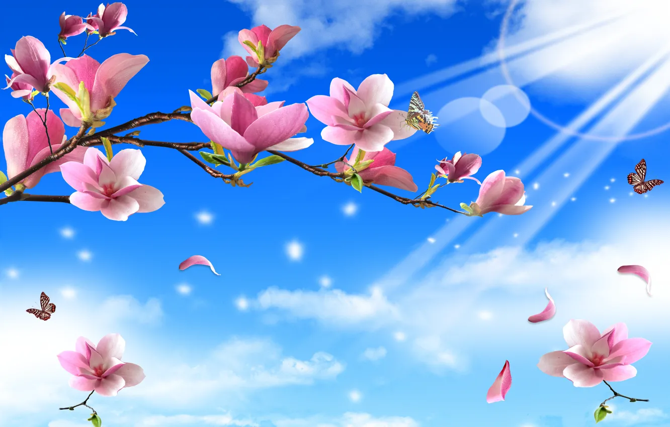 Photo wallpaper rays, flowers, nature, sprig, butterfly, solar