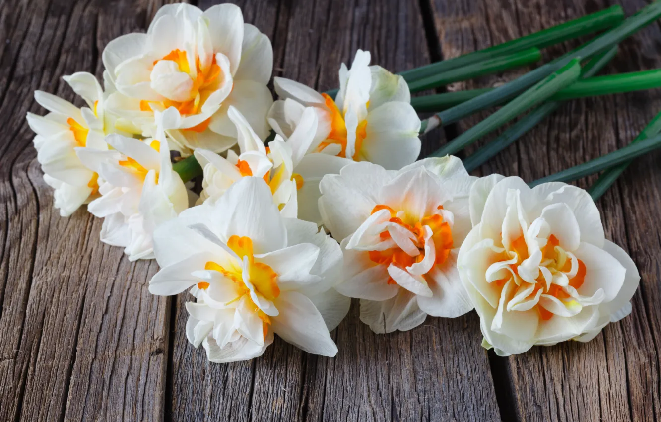 Photo wallpaper flowers, bouquet, spring, daffodils