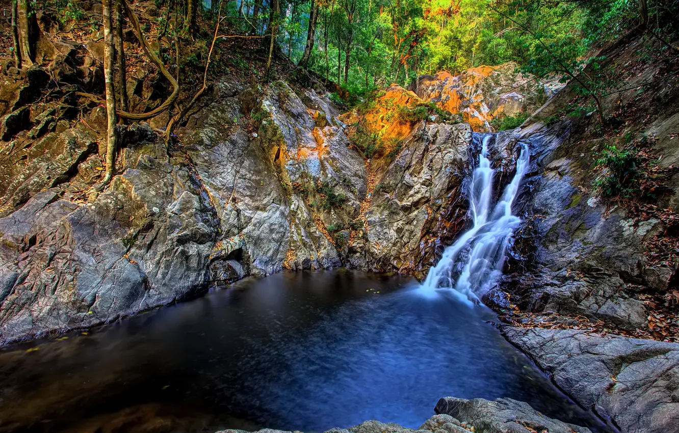 Photo wallpaper forest, trees, river, rocks, waterfall, stream