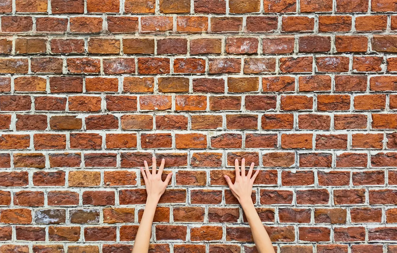 Photo wallpaper background, wall, hands