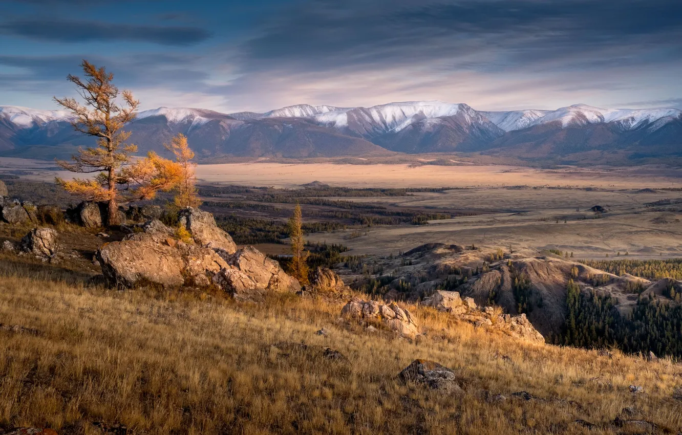 Photo wallpaper The Altai Mountains, Kurai steppe, Nadezhda Demkina, Tajilu tract