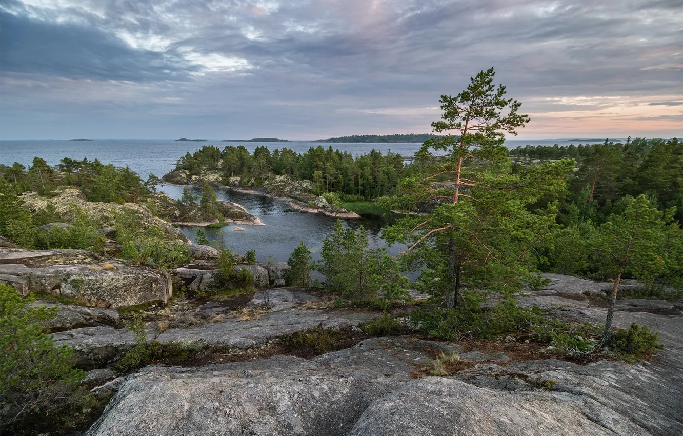 Photo wallpaper forest, sunset, lake, the evening, pine, Karelia, Ladoga, Sergey Serushkin