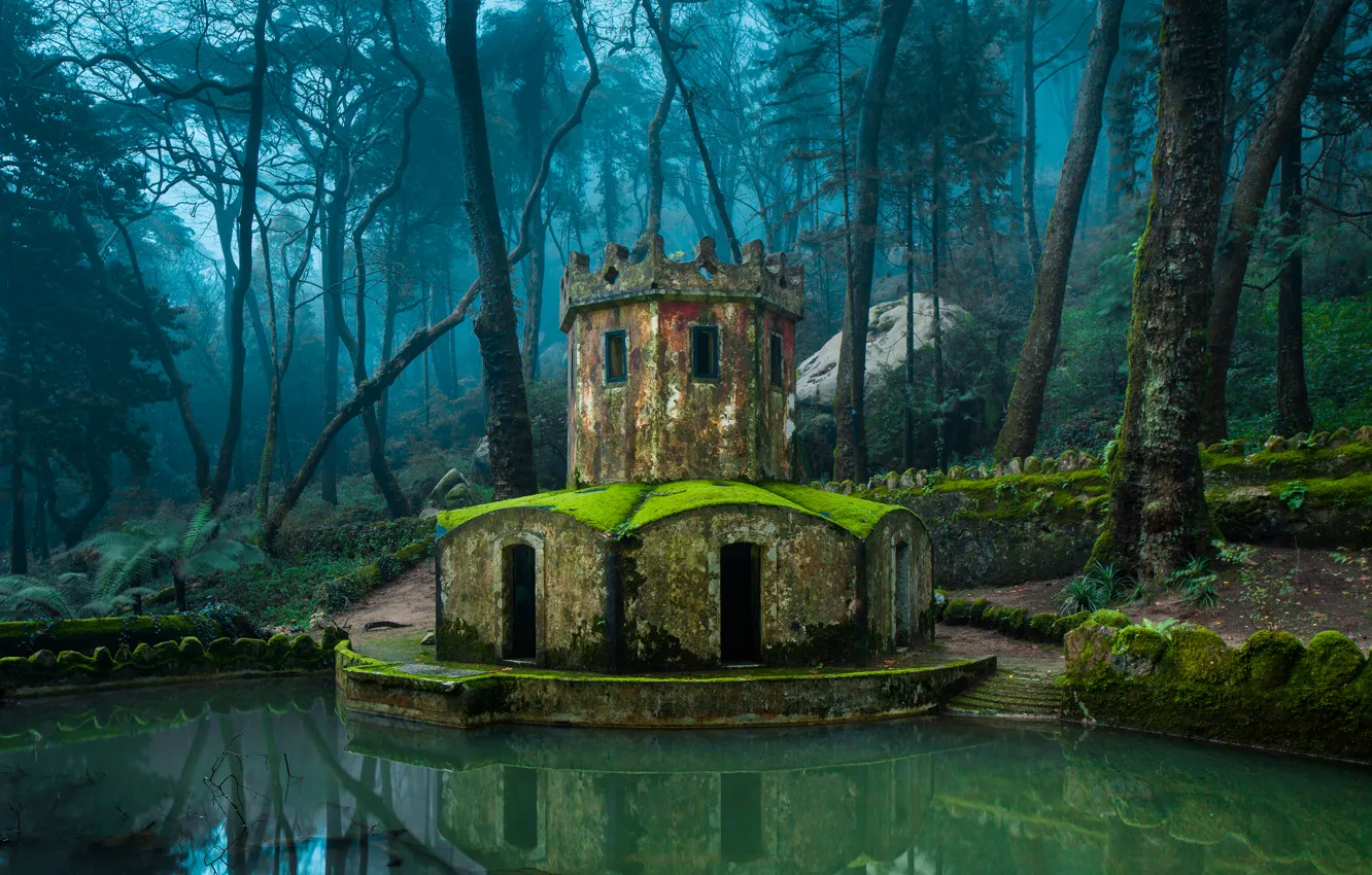 Photo wallpaper trees, pond, Park, stones, castle, moss, Portugal, Sintra