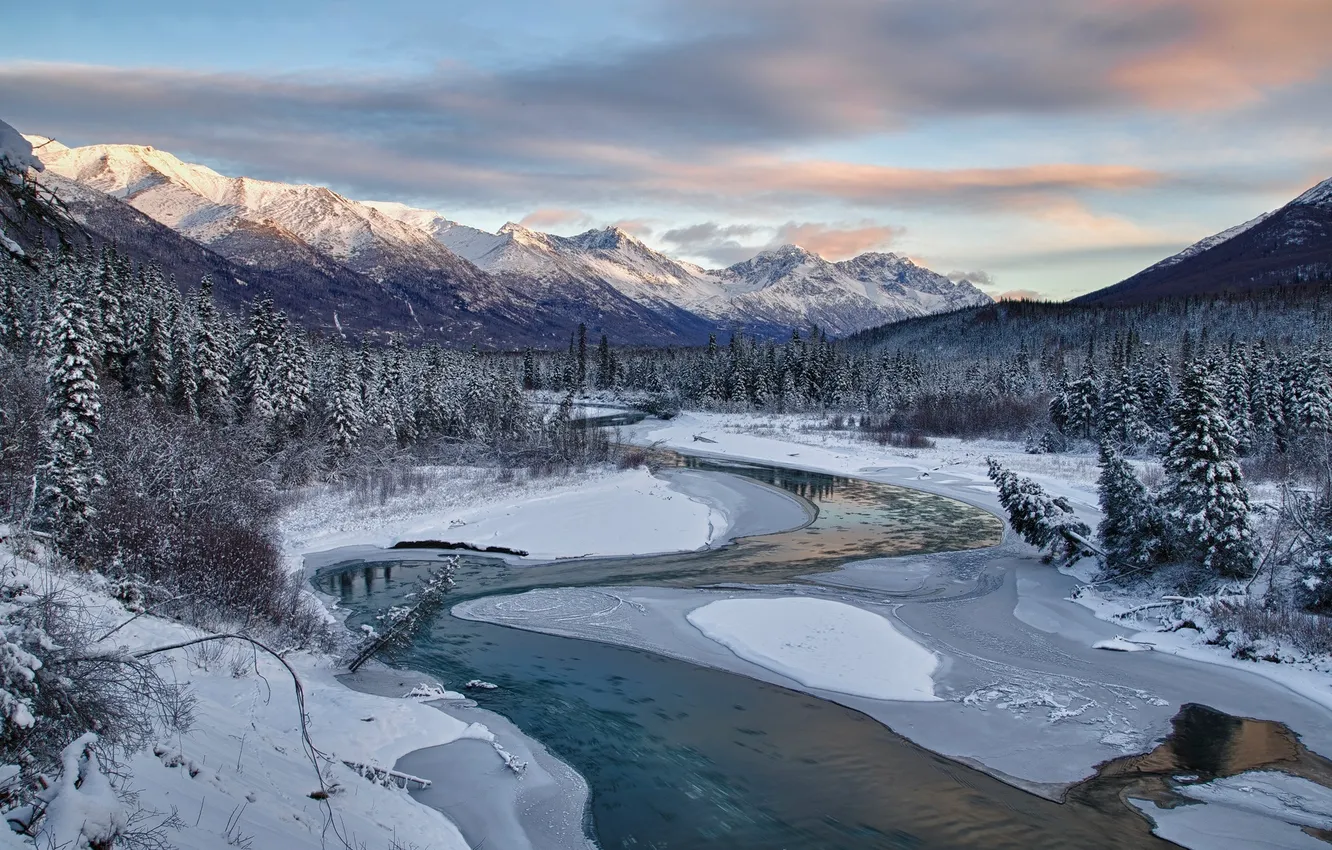 Photo wallpaper ice, winter, forest, the sky, clouds, snow, trees, landscape