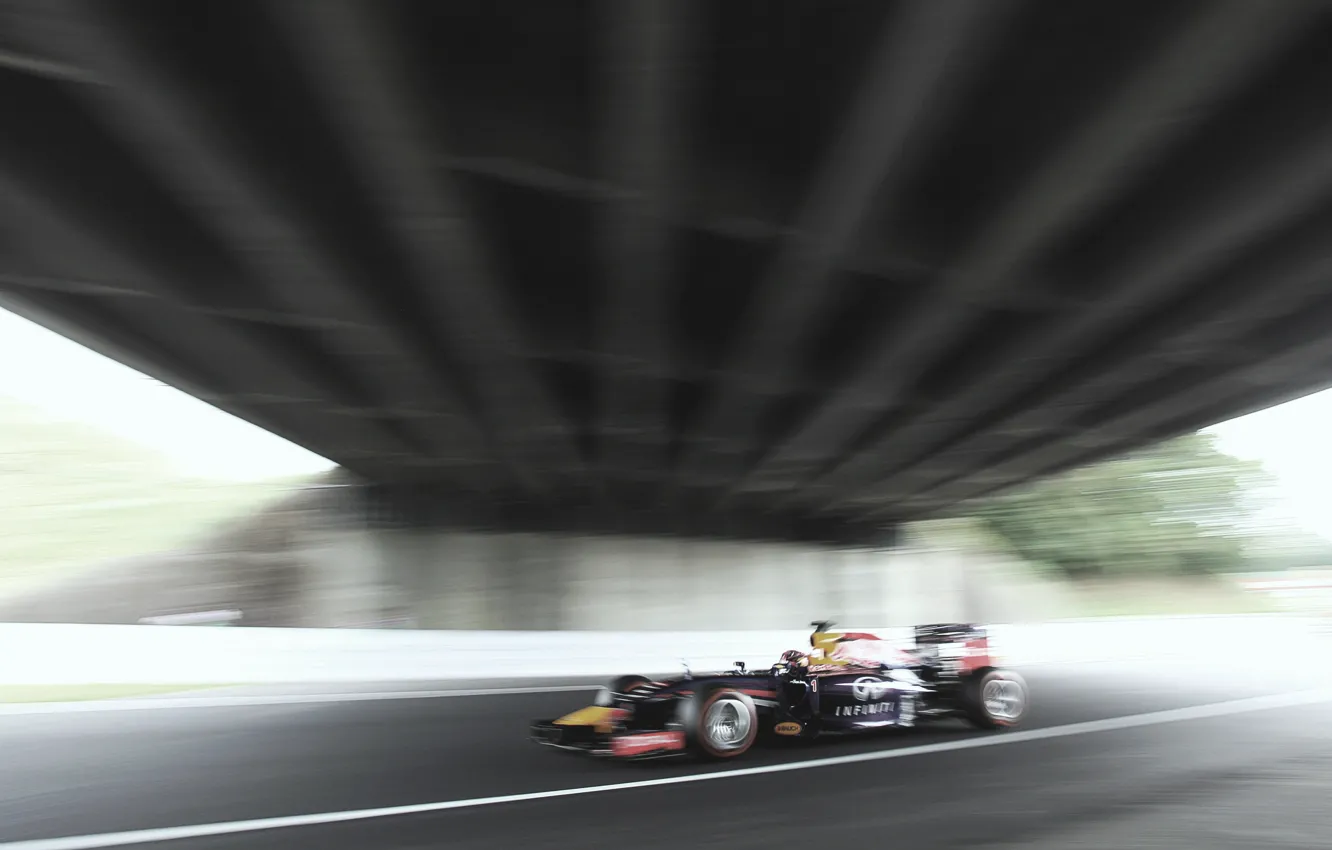 Photo wallpaper champion, Formula 1, Sebastian Vettel, racer