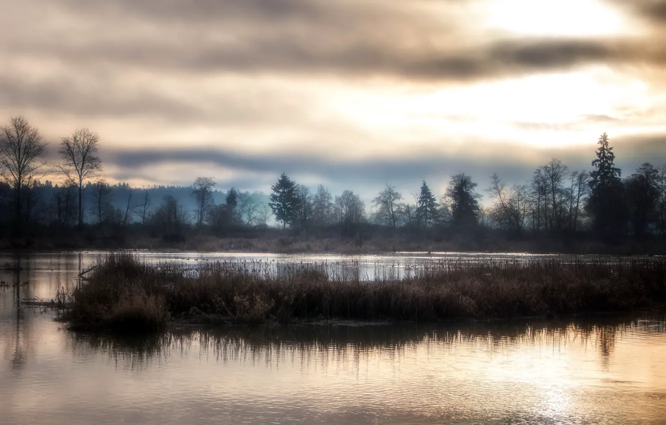 Photo wallpaper fog, lake, the evening