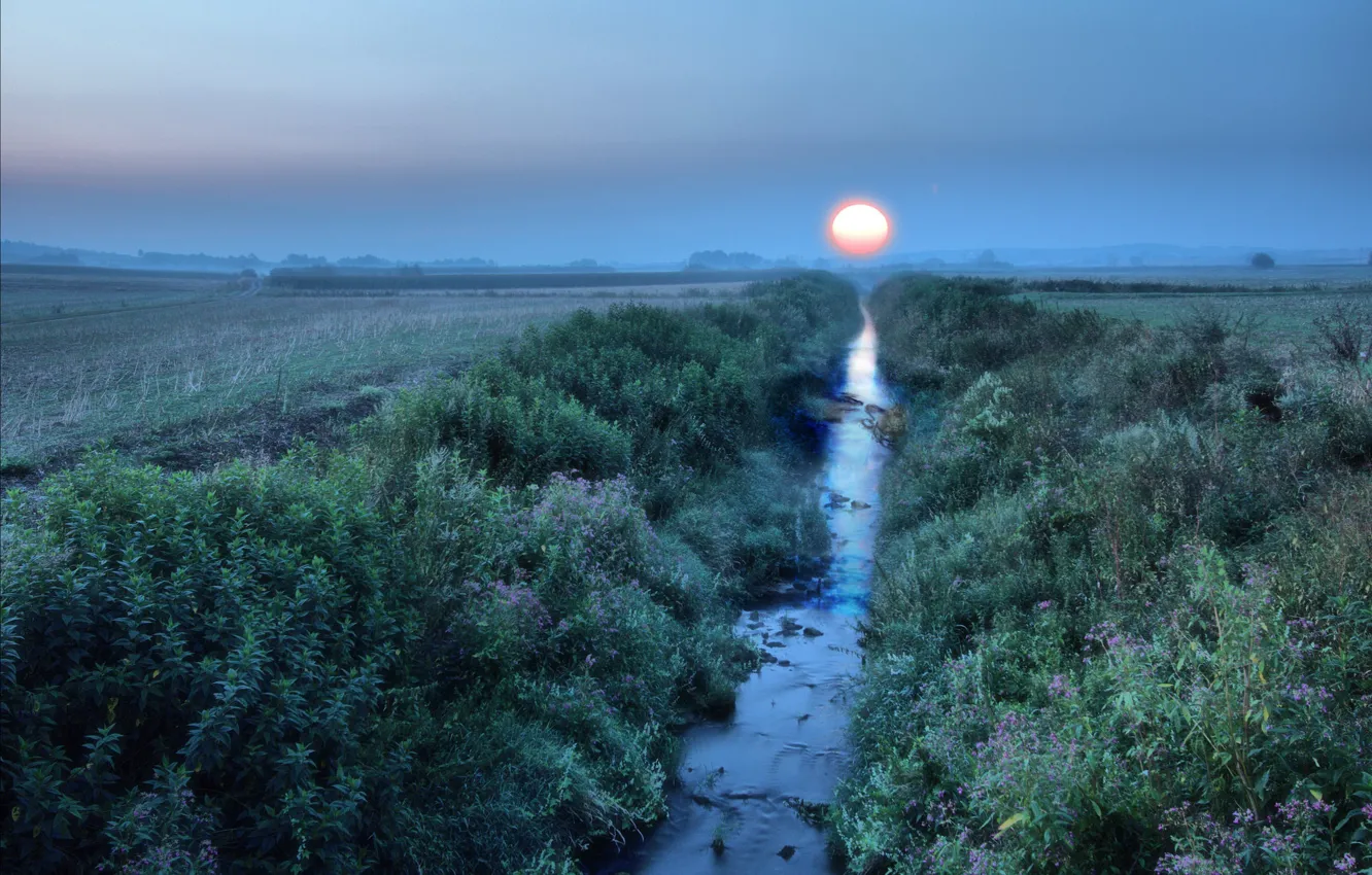 Photo wallpaper field, the sun, sunset, blue, stream, dawn, shore, dal