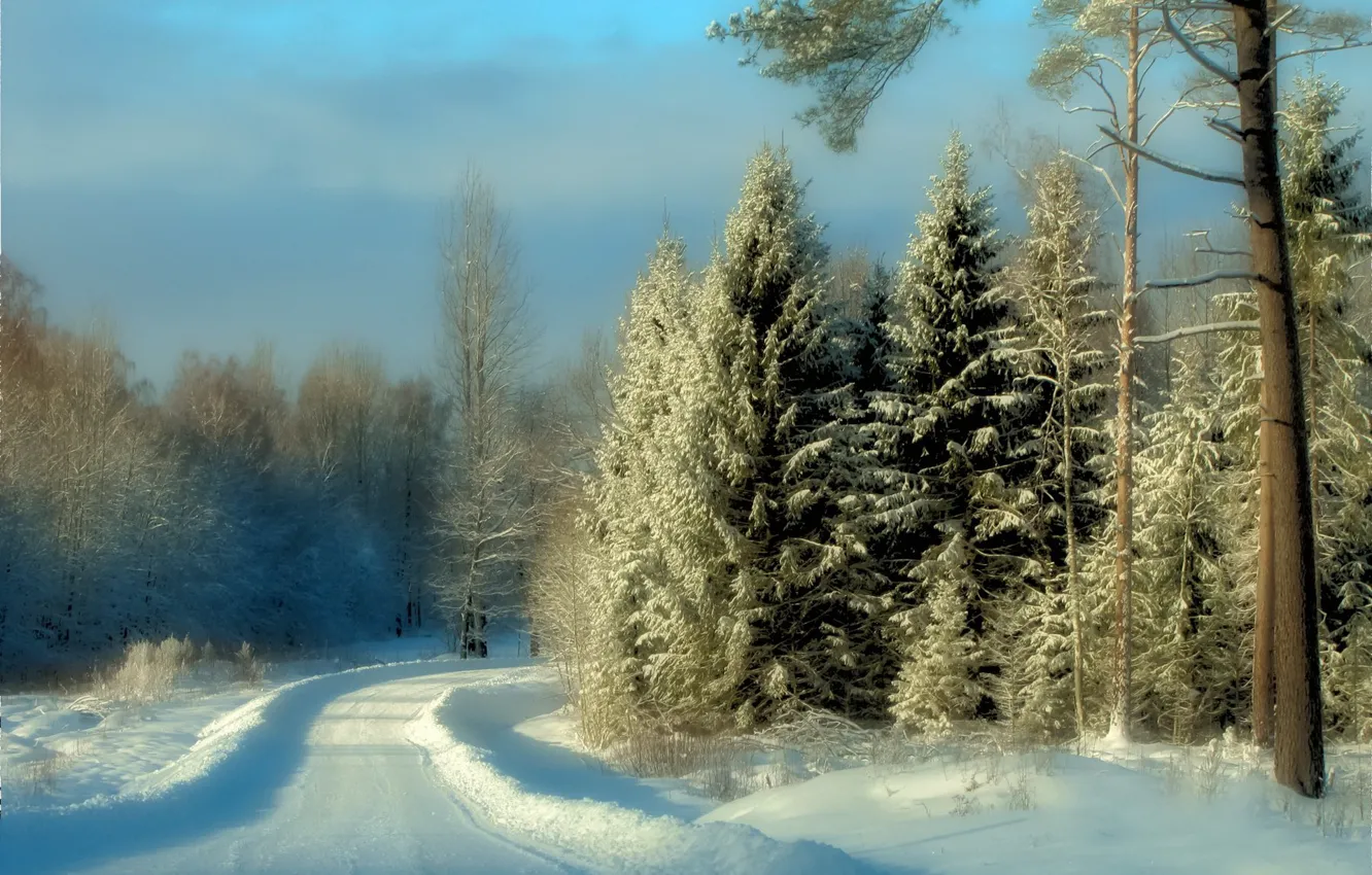 Photo wallpaper winter, frost, road, forest, light, snow, nature, ate