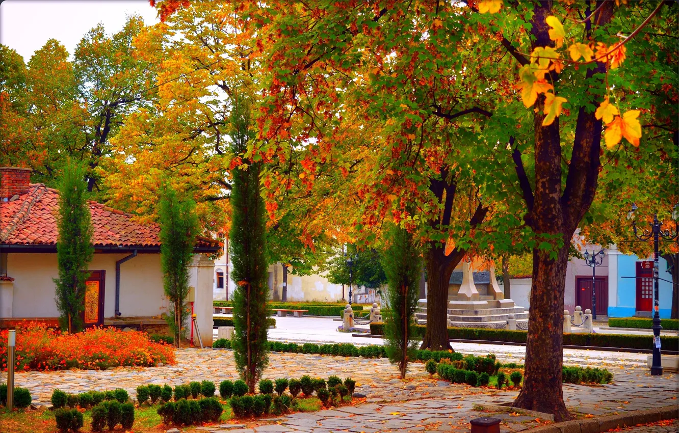 Photo wallpaper autumn, leaves, trees, Park, colors, trees, park, autumn