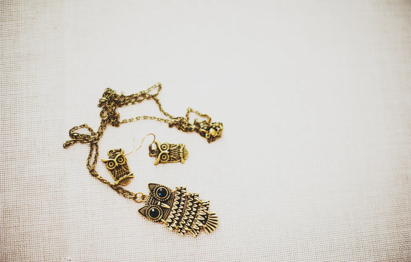 Photo wallpaper decoration, owl, earrings, pendant, suspension