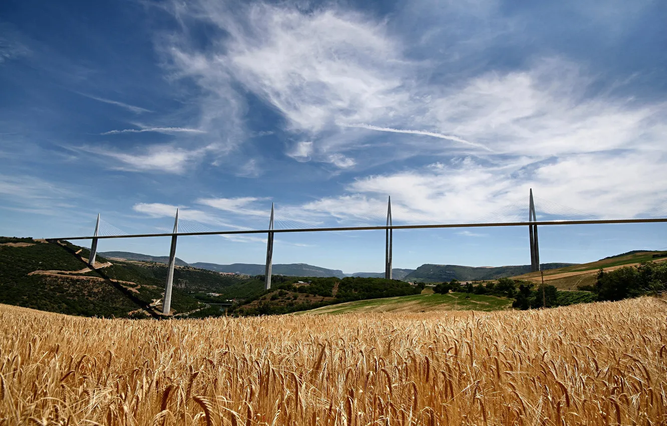 Photo wallpaper wheat, field, bridge, France, Viaduct Milan