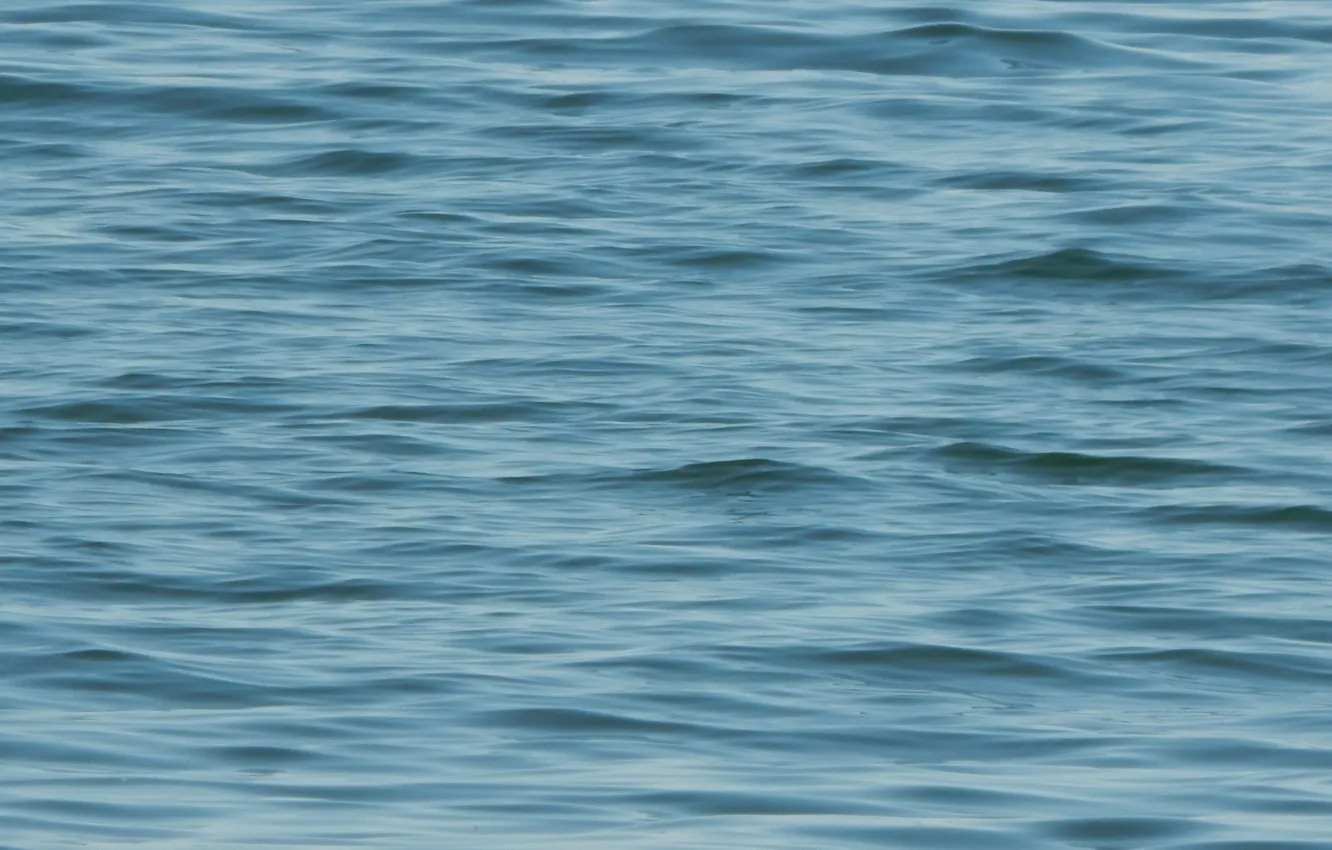 Photo wallpaper Sea, Baltic, surface