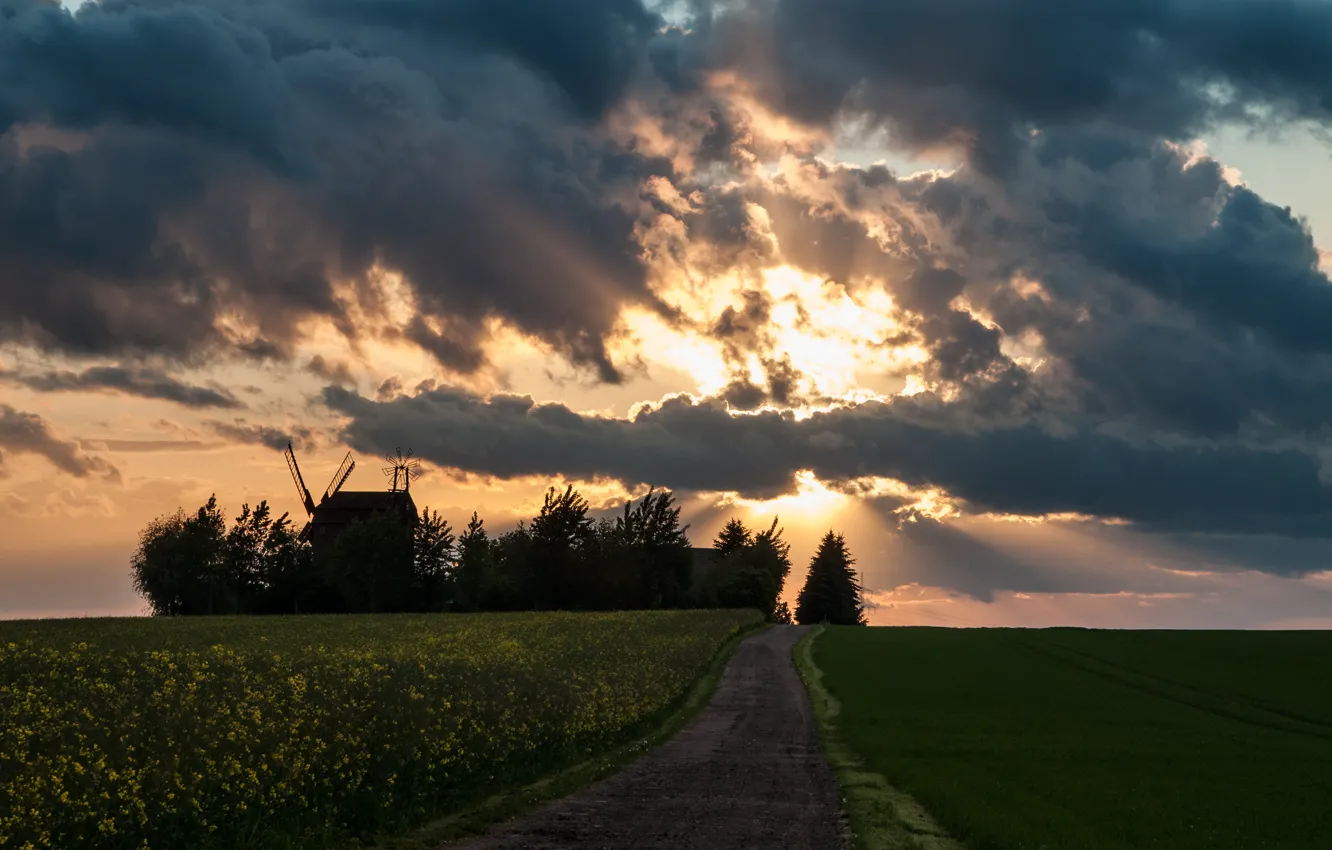 Photo wallpaper road, field, the sky, the sun, clouds, rays, mill, rape