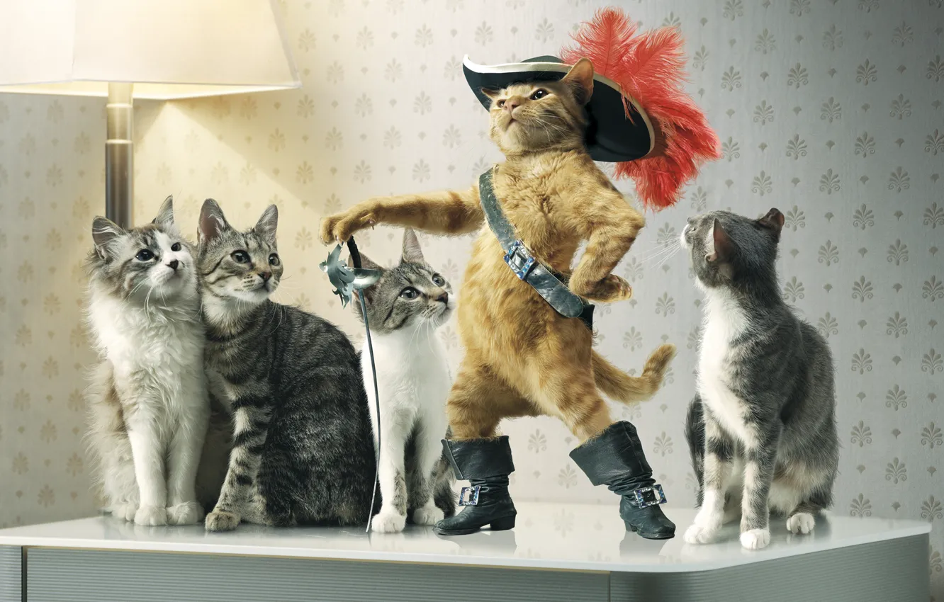 Photo wallpaper cats, hat, sword, puss in boots