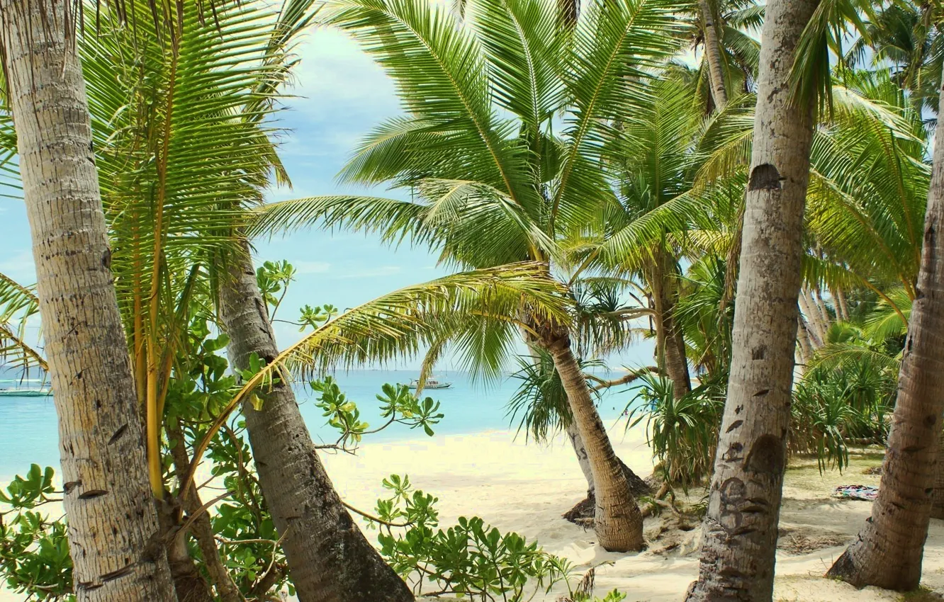 Photo wallpaper sand, sea, beach, summer, palm trees, heat, stay