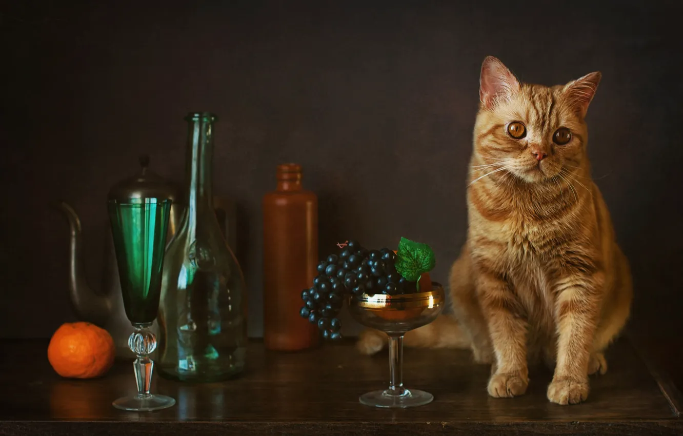 Photo wallpaper glass, grapes, bottle, Mandarin, red cat, cat