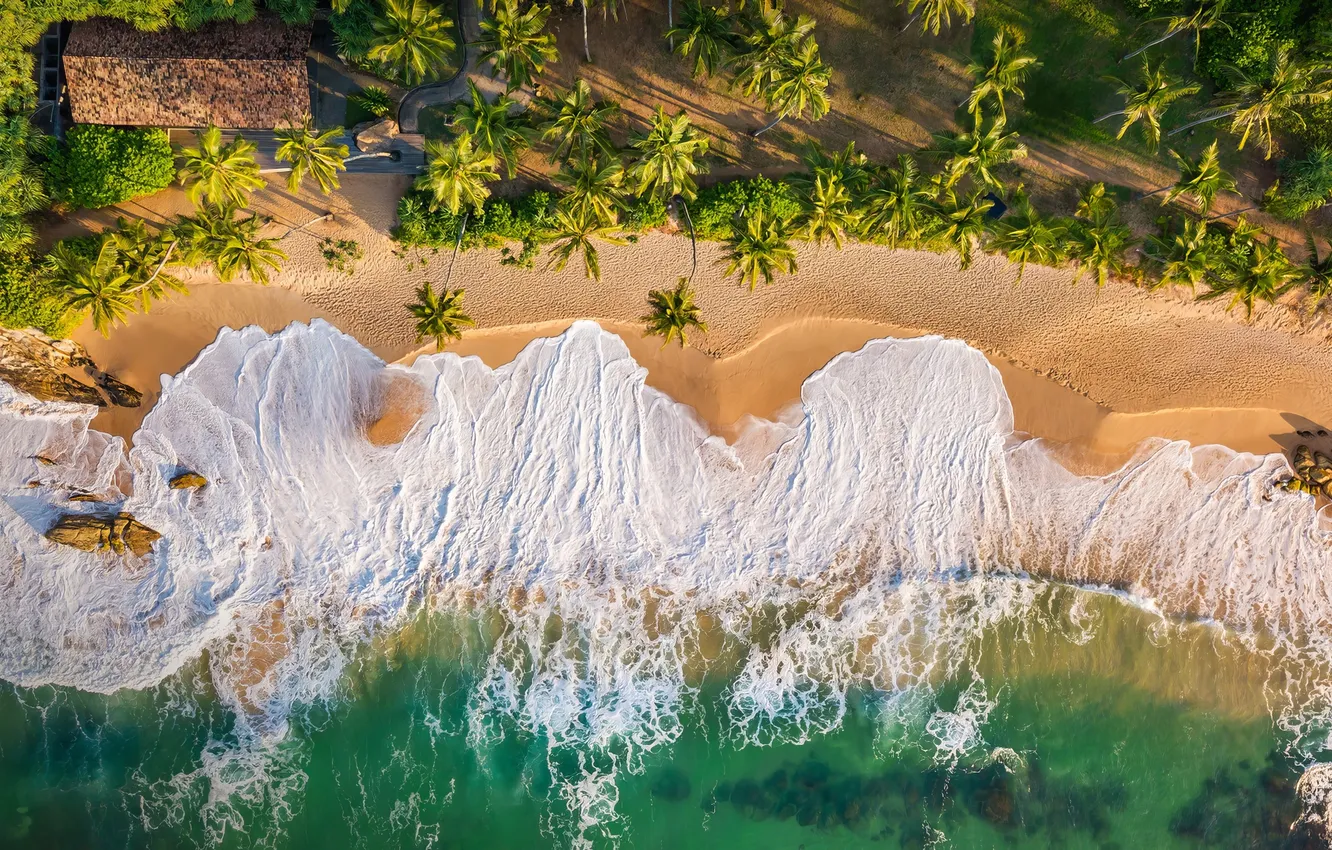 Photo wallpaper beach, sea, sand, surf, tide, palms, aerial view