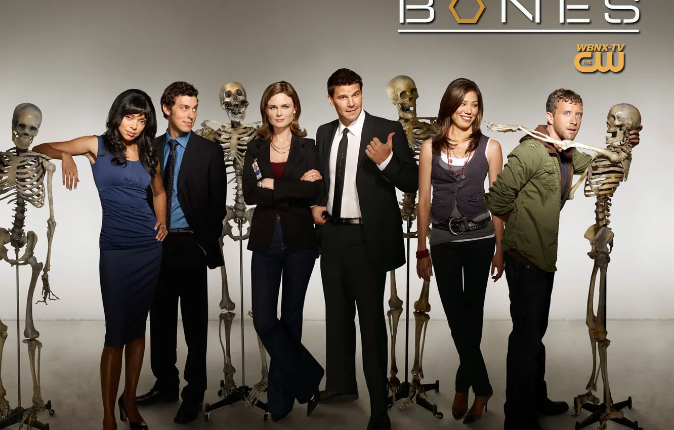 Photo wallpaper bones, the series, bones