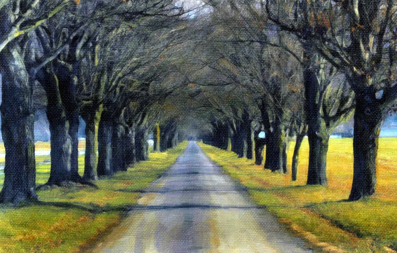 Photo wallpaper road, trees, picture