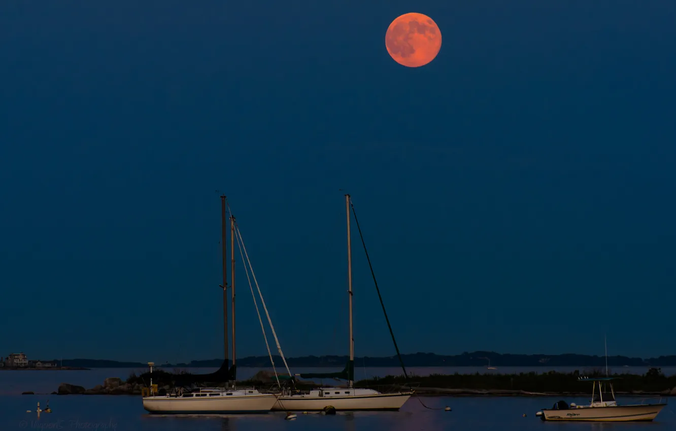 Photo wallpaper the sky, night, the moon, boat, Bay, yacht