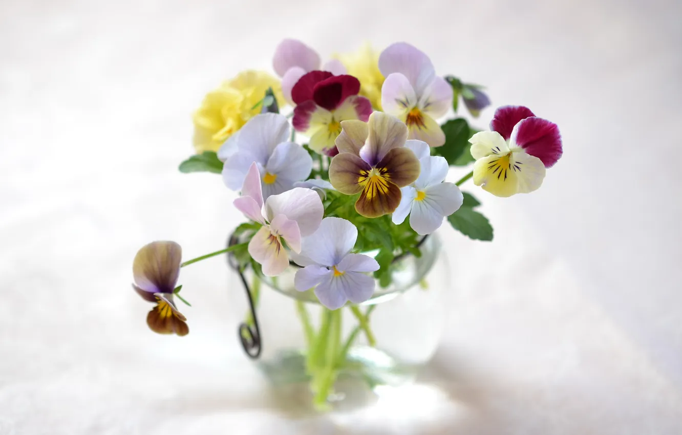 Photo wallpaper flowers, bouquet, vase, Pansy